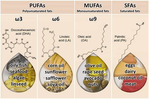 palm oil omega 3 or 6|oils rich in omega 6.